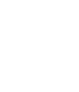 Melbourne Storm